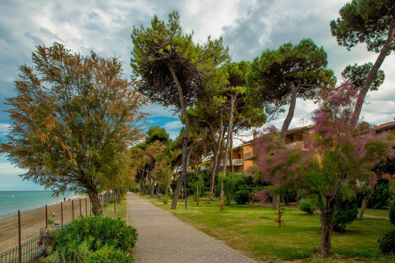 Albergo Il Veliero Pineto Exteriör bild
